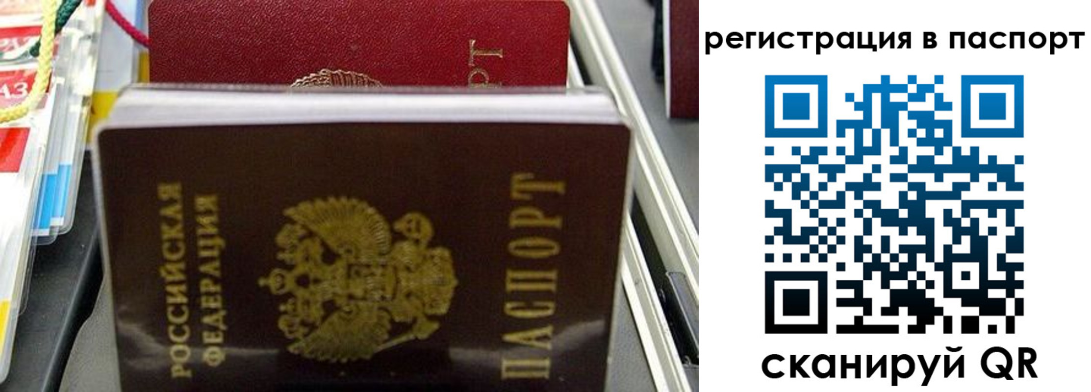 прописка для школы в Свирске